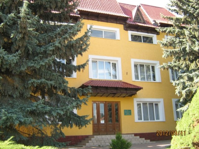 Зрубані дуби можуть спричинити затоплення печери “Оптимістична”